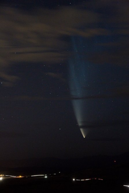 McNaught