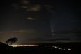McNaught