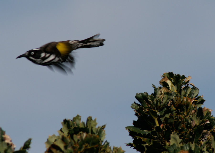 Take-off