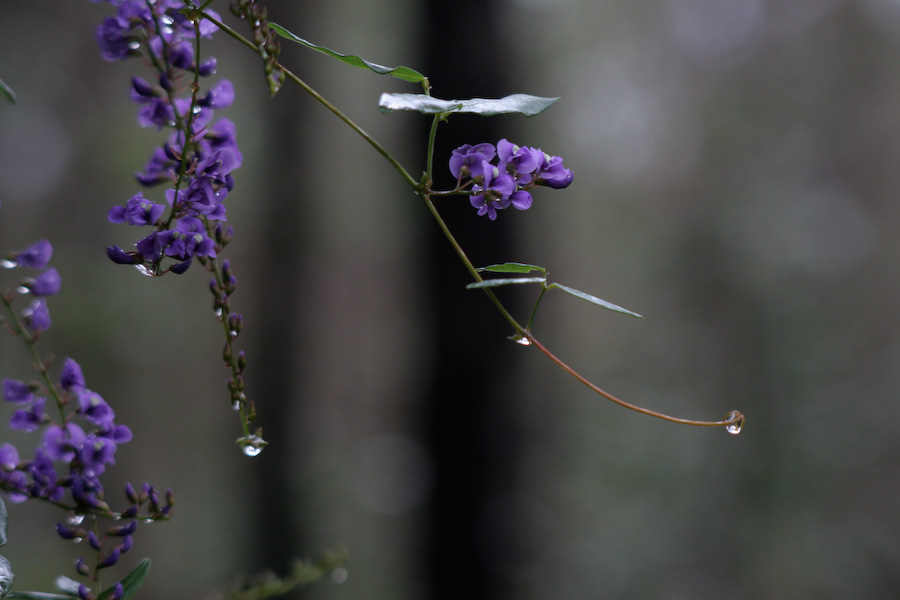 Droplets