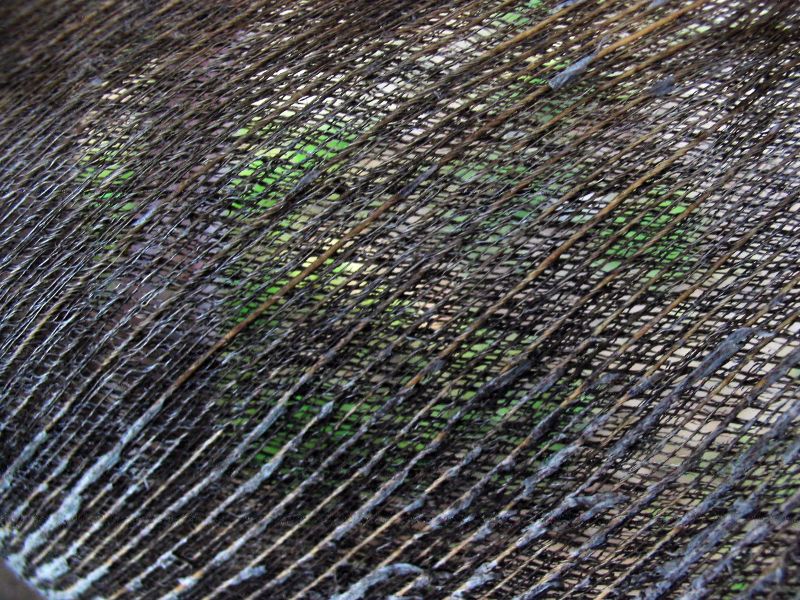 palm_mesh.jpg