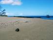 beach1.jpg