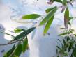 leaves_and_sand.jpg