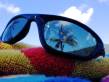 sunnies.jpg