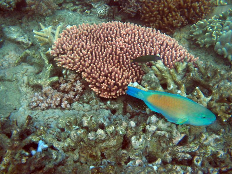 img_3423.jpg