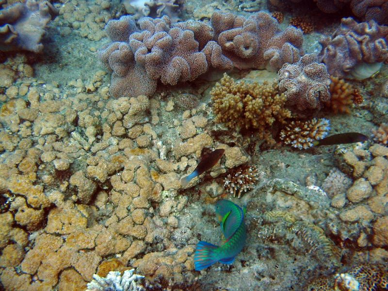 img_3425.jpg