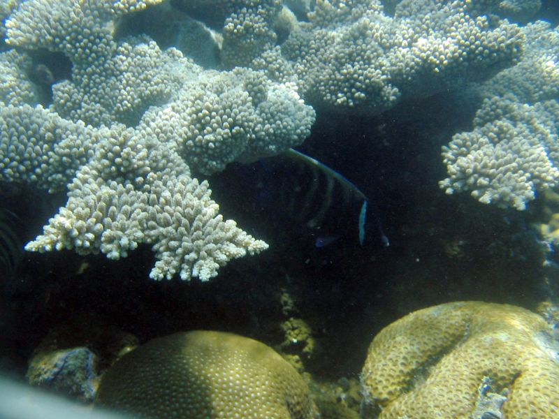 img_3476.jpg
