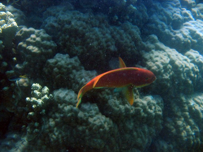 img_3512.jpg