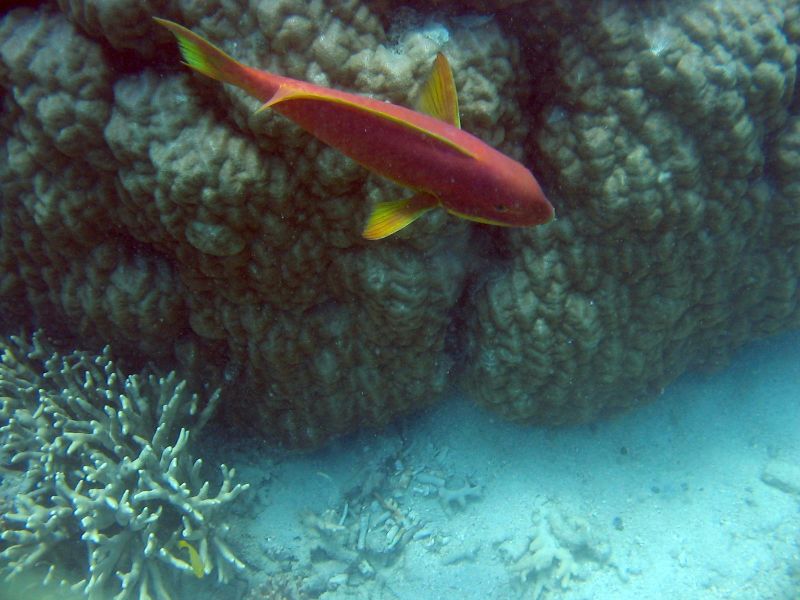 img_3513.jpg