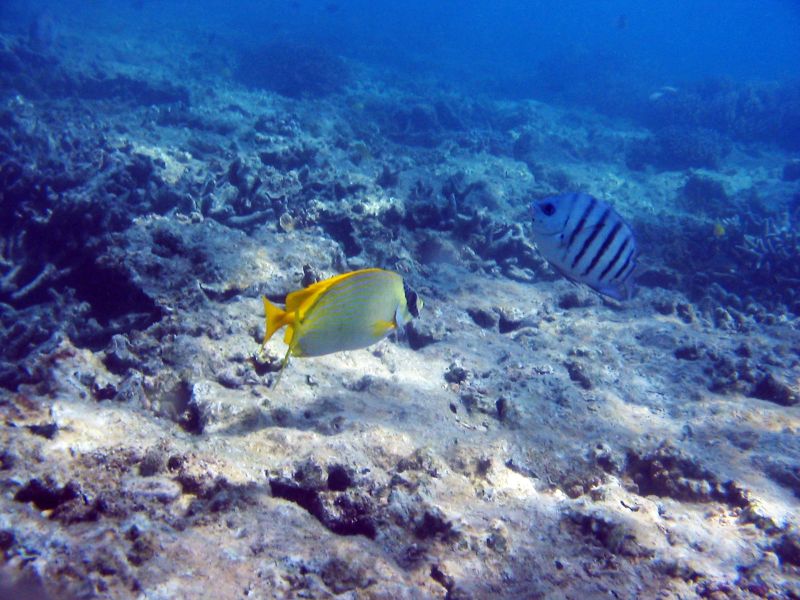 img_3532.jpg