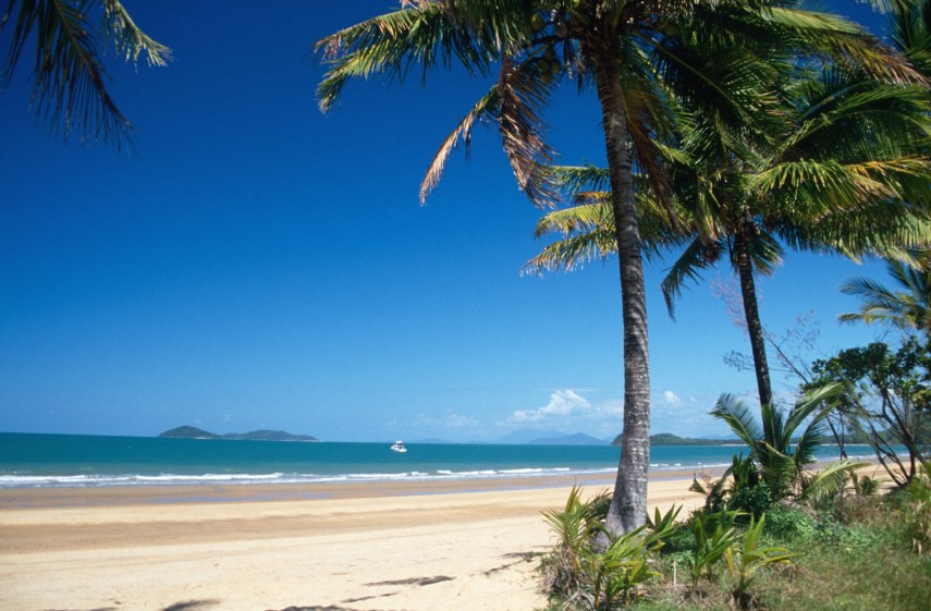 11b_beach_palms.jpg