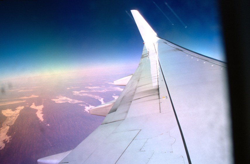 1A_wing_colours.jpg
