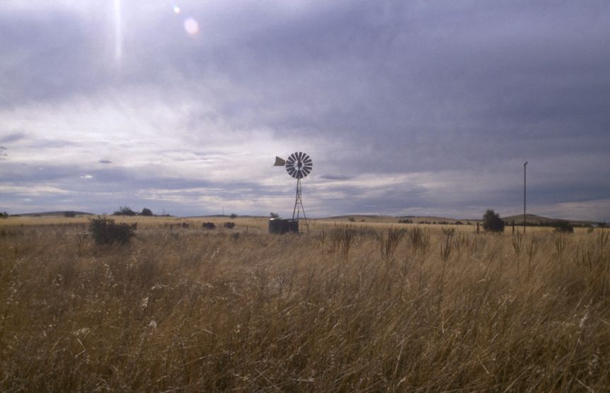 i_windmill2.jpg