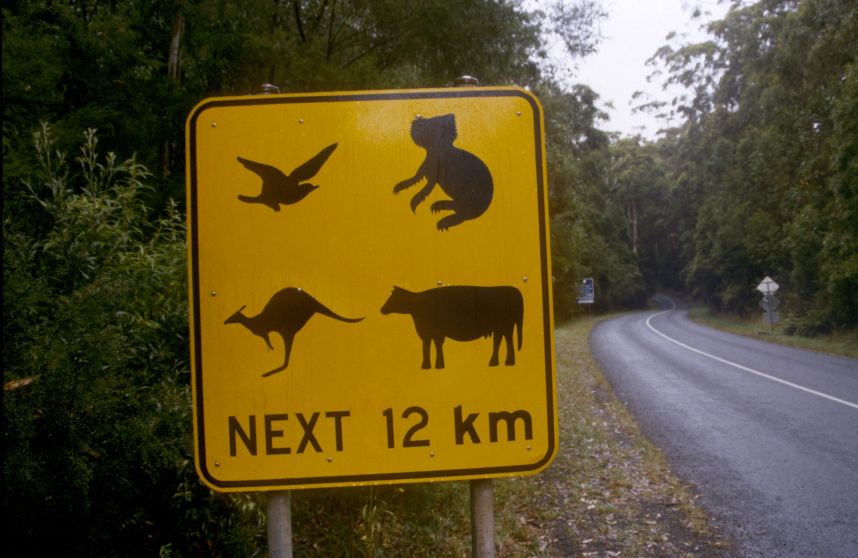 s_animals.jpg