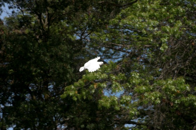 flying past