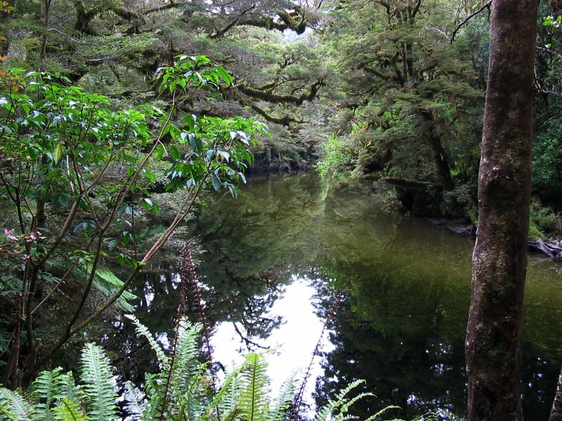 calm_river1.jpg