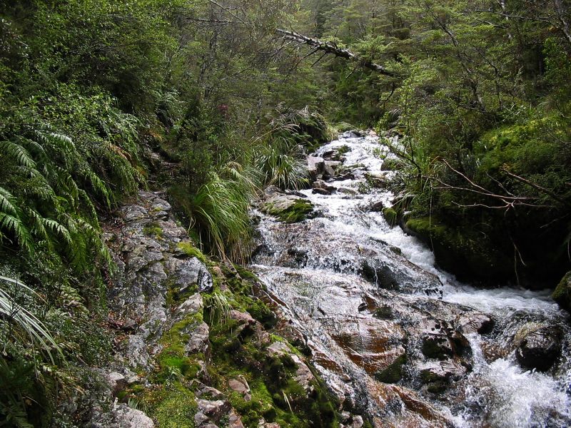 cascade1.jpg