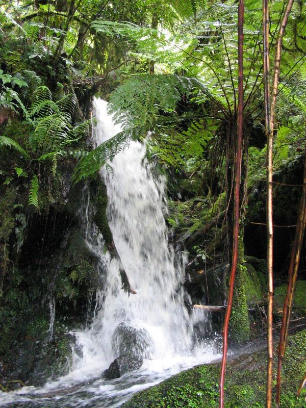waterfall1.jpg