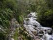 cascade1.jpg