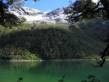 lake_mckenzie1.jpg