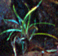 detail sharpened