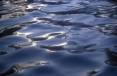 water_structures3.jpg