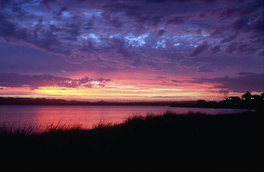 8A_Albany_sunset.jpg