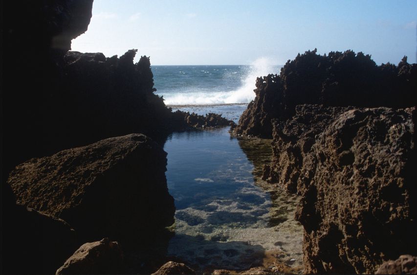 Blowholes.jpg