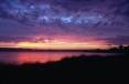 8A_Albany_sunset.jpg