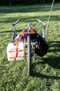 frankie 2 rear