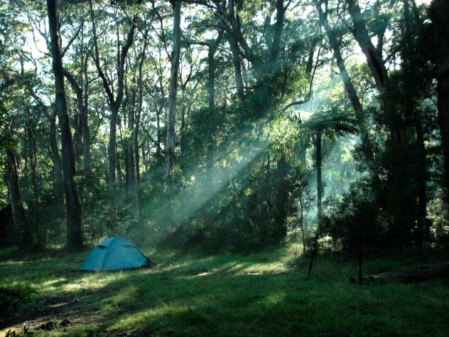 In the morning