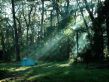 In the morning
