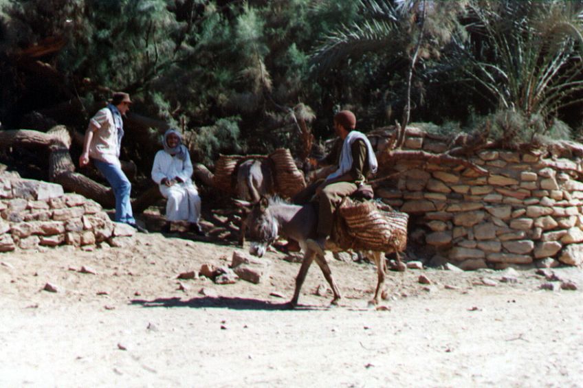 02bacharia.jpg