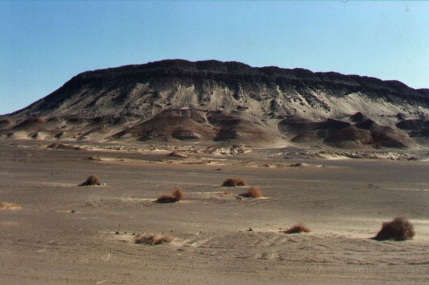 06bacharia.jpg