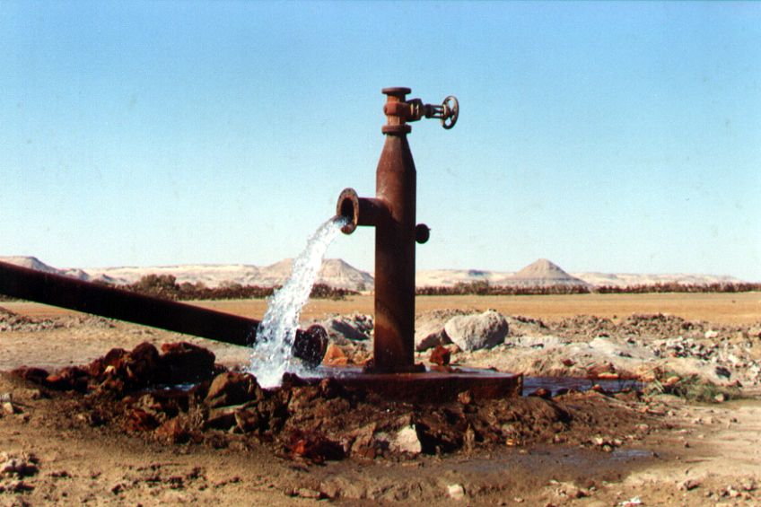 07bacharia.jpg