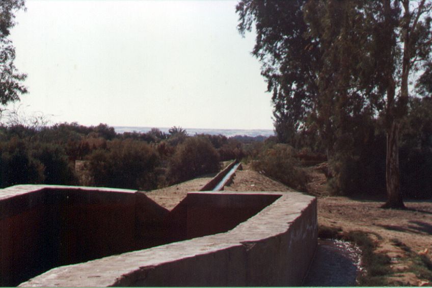 08bacharia.jpg