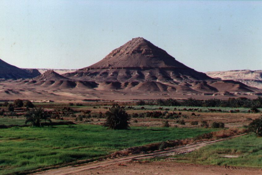10bacharia.jpg