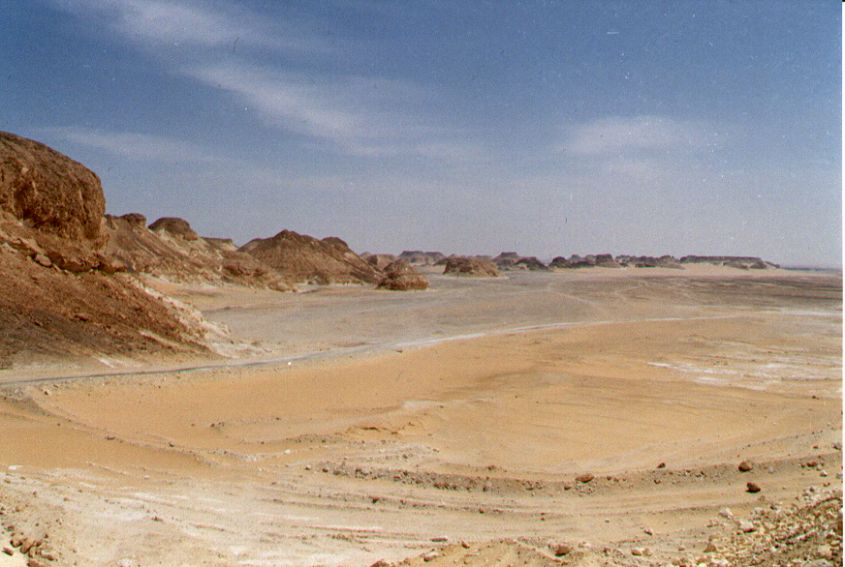 04whitedesert.jpg