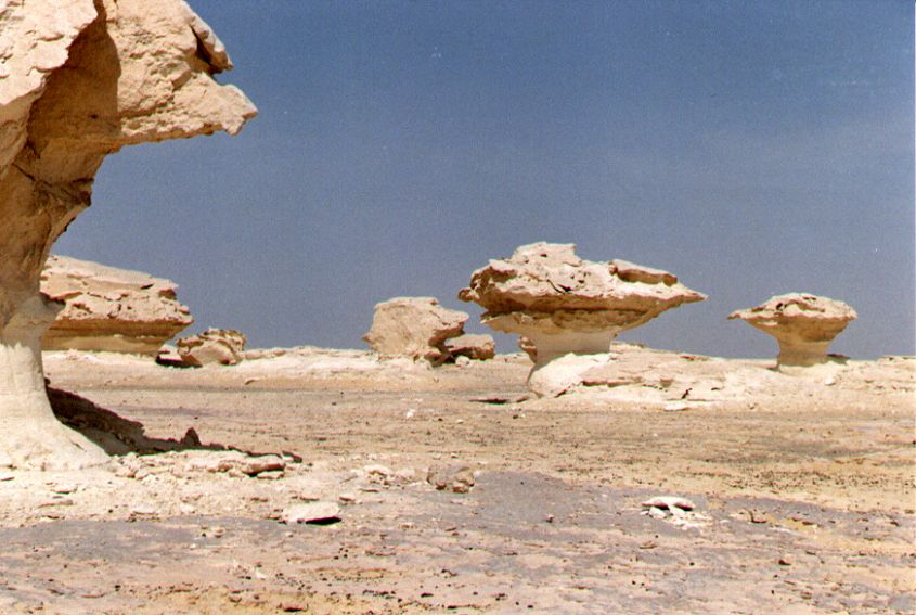 06whitedesert.jpg