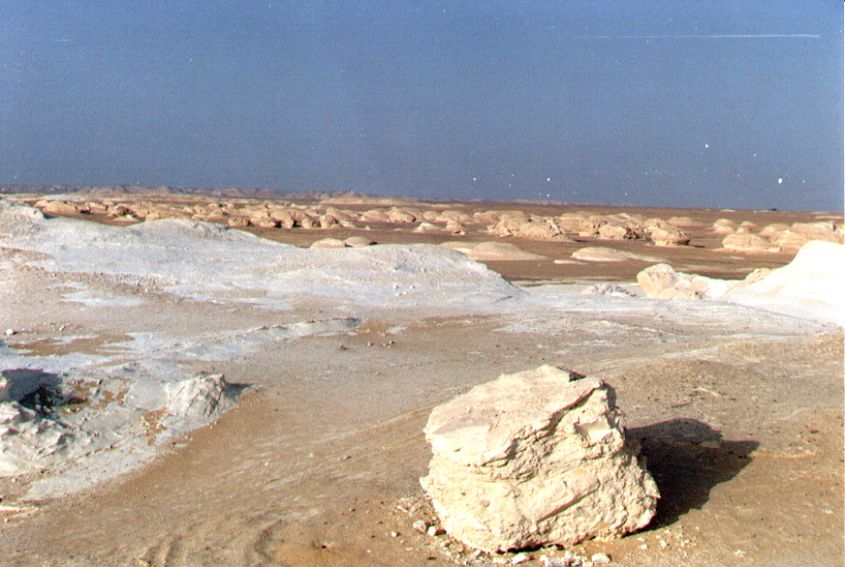 10whitedesert.jpg