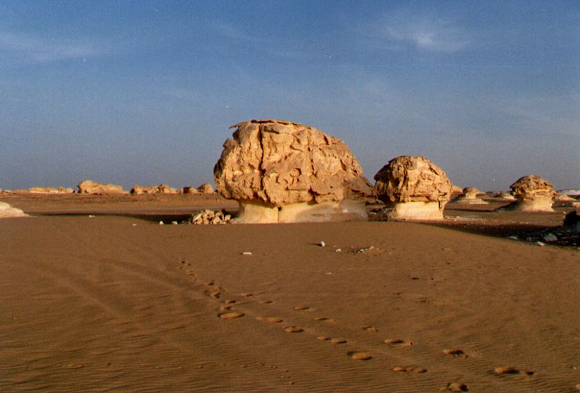 15whitedesert.jpg