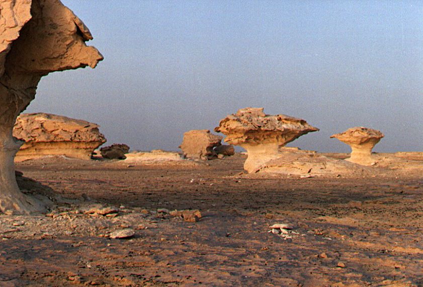 19whitedesert.jpg