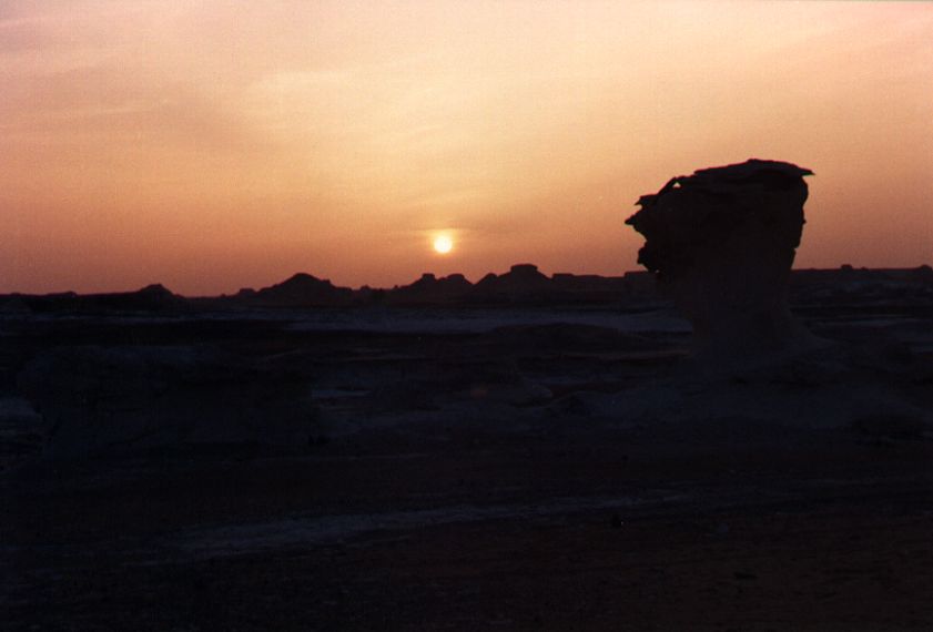 20whitedesert.jpg