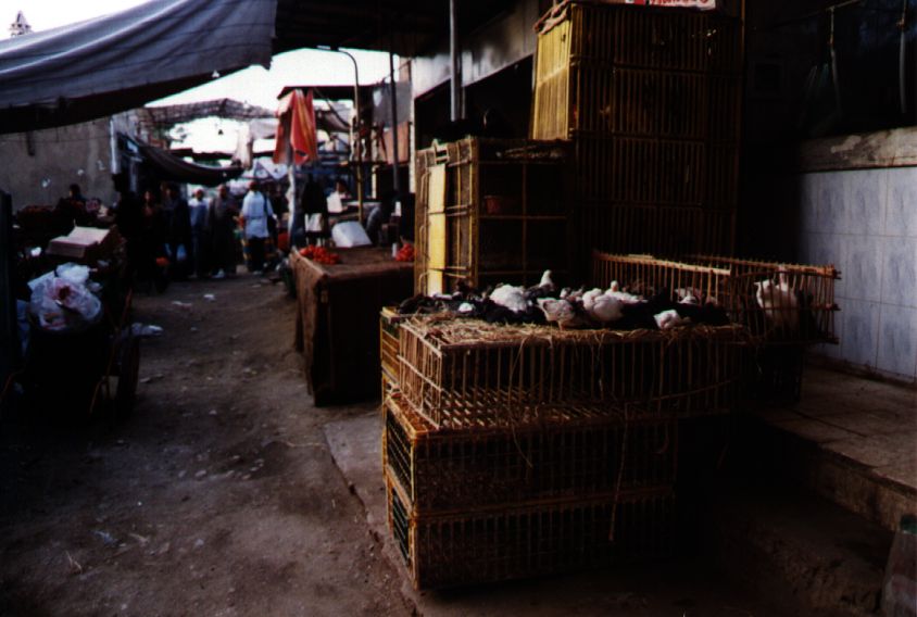 15AMarkt.jpg